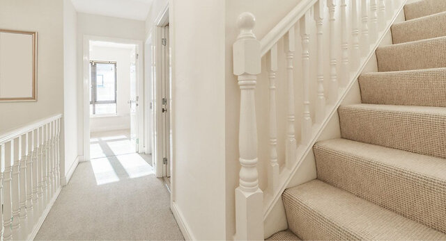 Blog_10_Tips_to_Extend_Your_Carpets_Lifespan_06