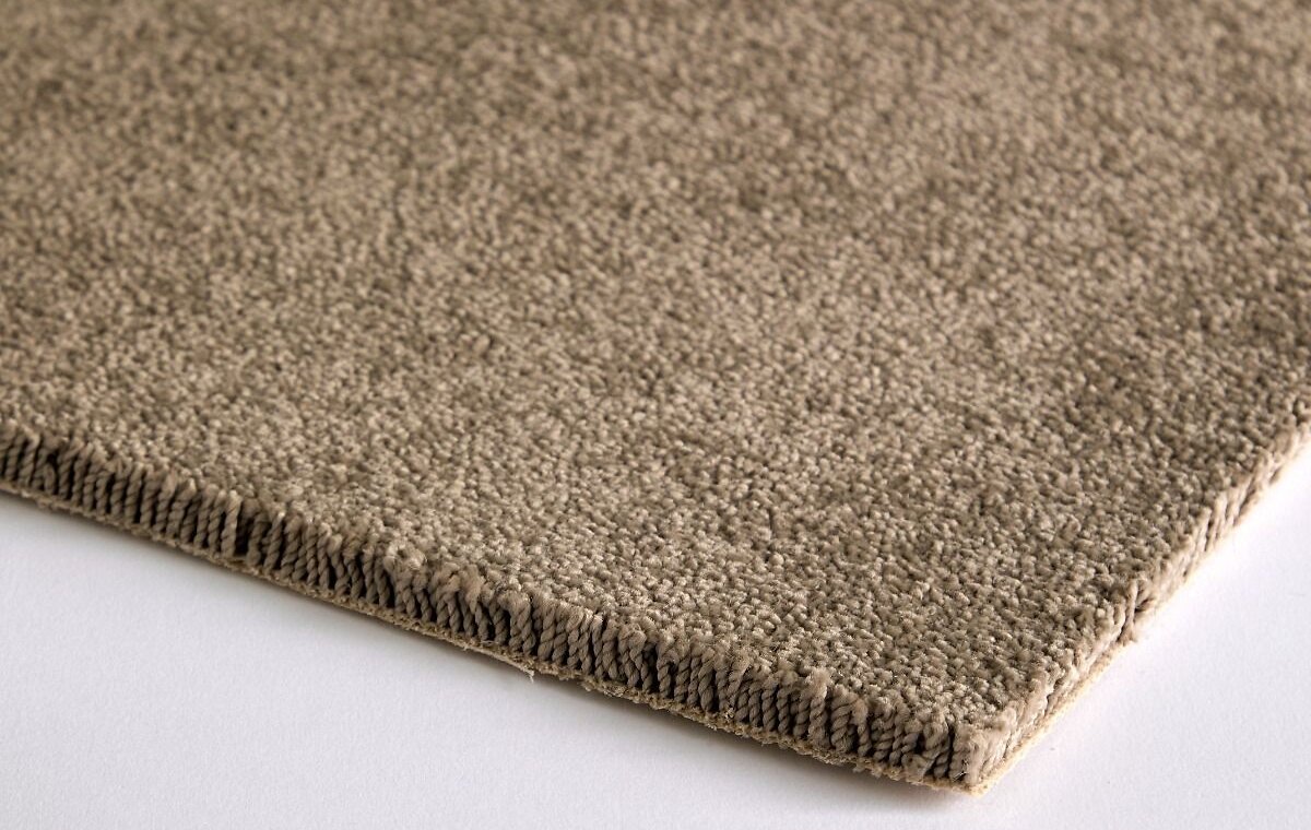 Blog_What_Is_The_Best_Carpet_For_Pets_04