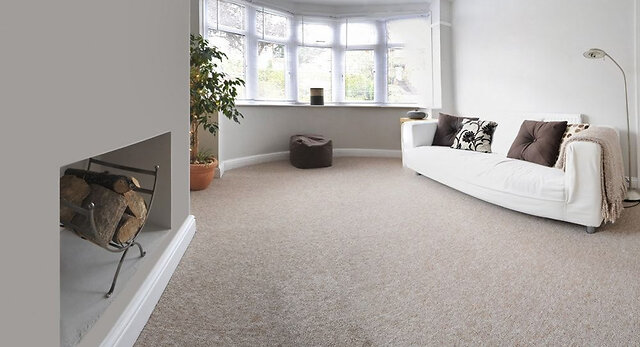 Blog_10_Tips_to_Extend_Your_Carpets_Lifespan_07