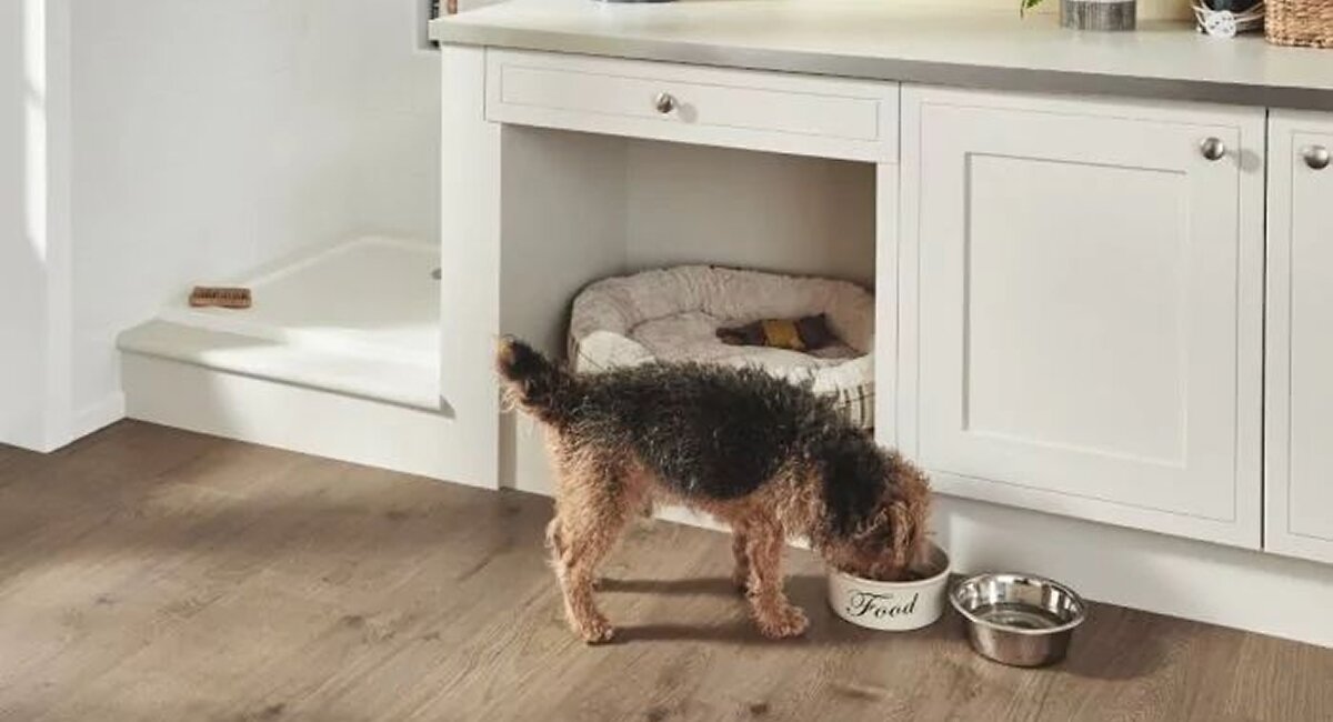 Blog_What_Is_The_Best_Carpet_For_Pets_07-1