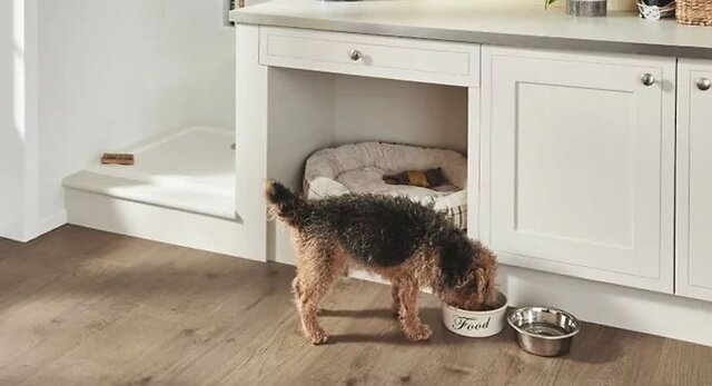Blog_What_Is_The_Best_Carpet_For_Pets_07-1