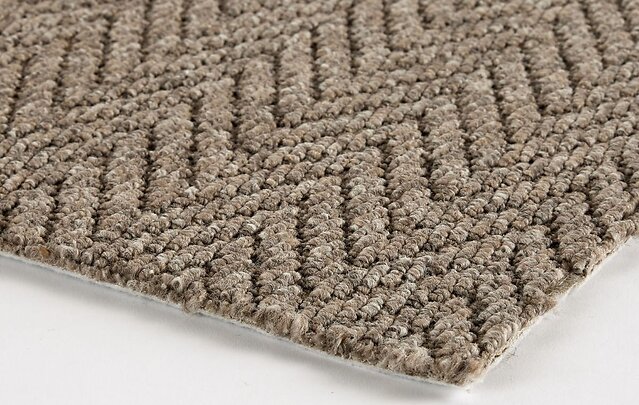 Blog_What_Is_The_Best_Carpet_For_Pets_02