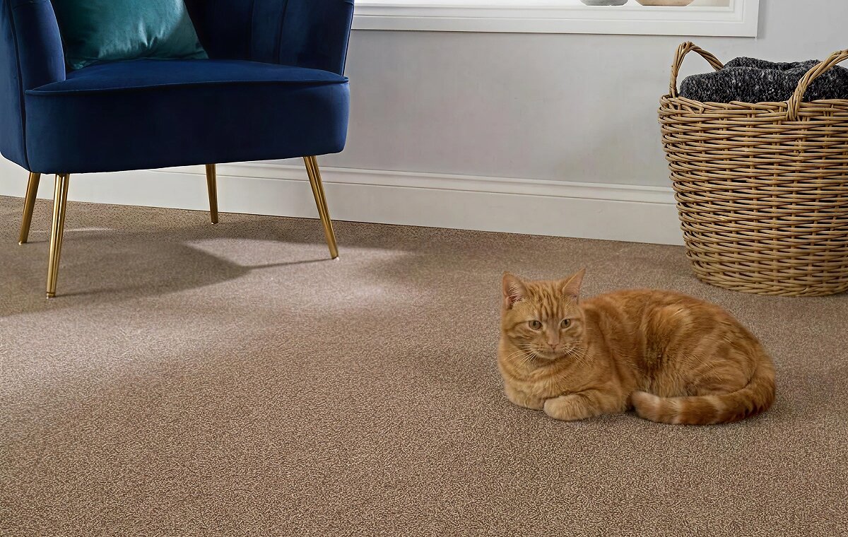 Blog_What_Is_The_Best_Carpet_For_Pets_05