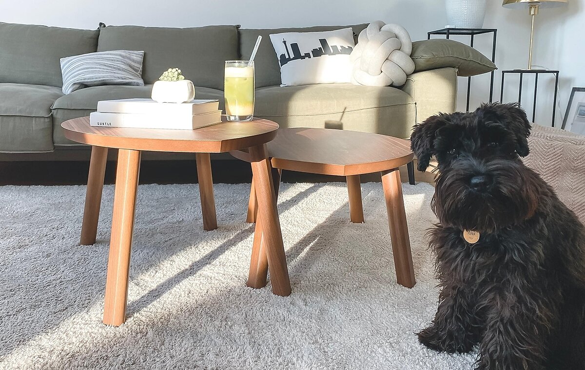 Blog_What_Is_The_Best_Carpet_For_Pets_01