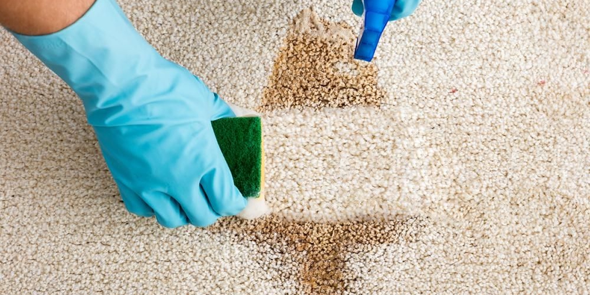 Blog_How_To_Get_Stains_Out_Of_Carpet_02