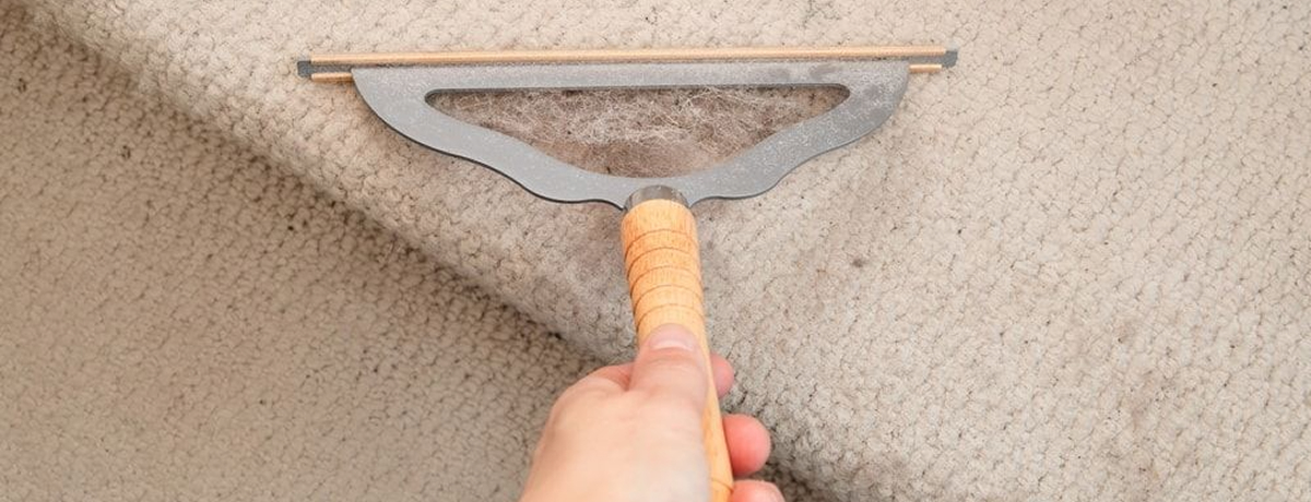 Blog_How_to_Prevent_Carpet_Flattening_Banner_4