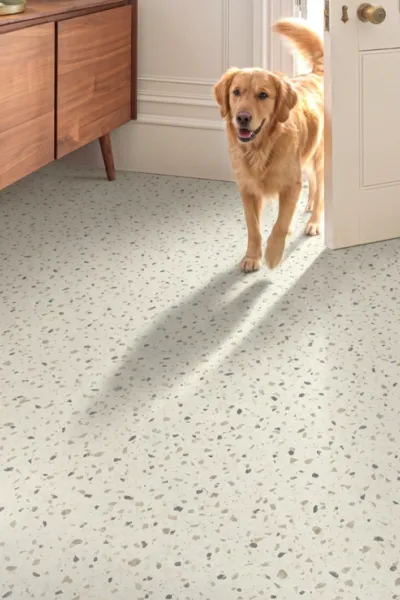 PetFriendly