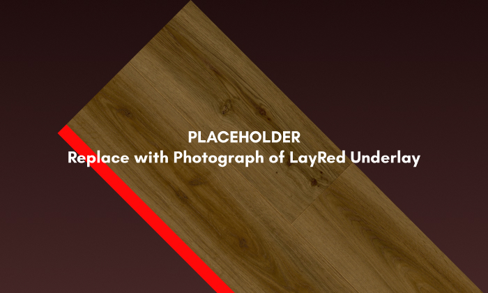 Placeholder_Underlay