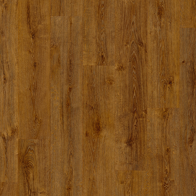 Stanford_Oak_65861_MP_Top_1