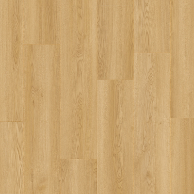 Dingle_Oak_13850_SP_Top_1